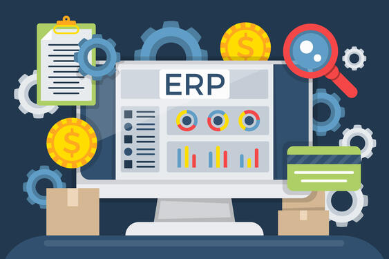 Custom ERP Development for Manufacturing